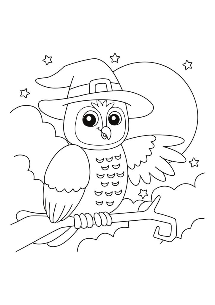 Owl