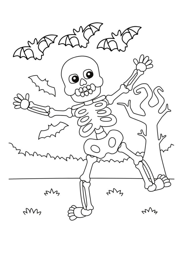 Skeleton
