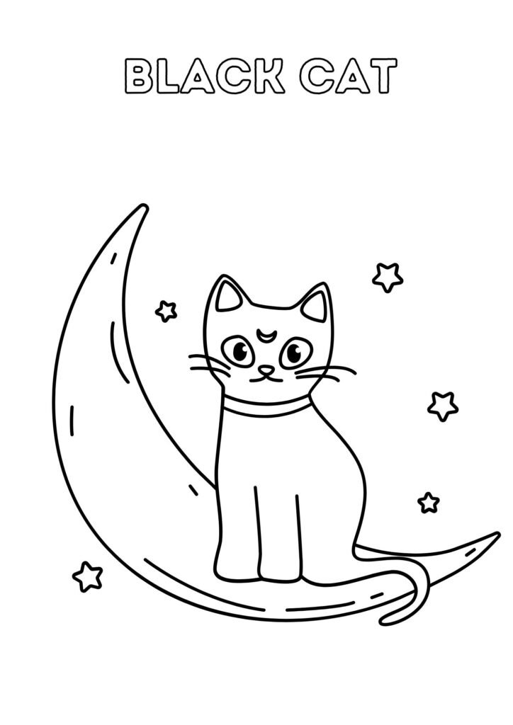 black cat