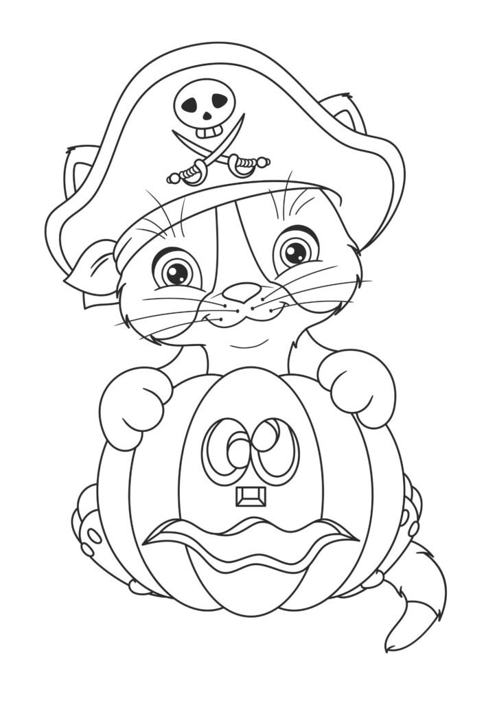 cat pumkin pirate