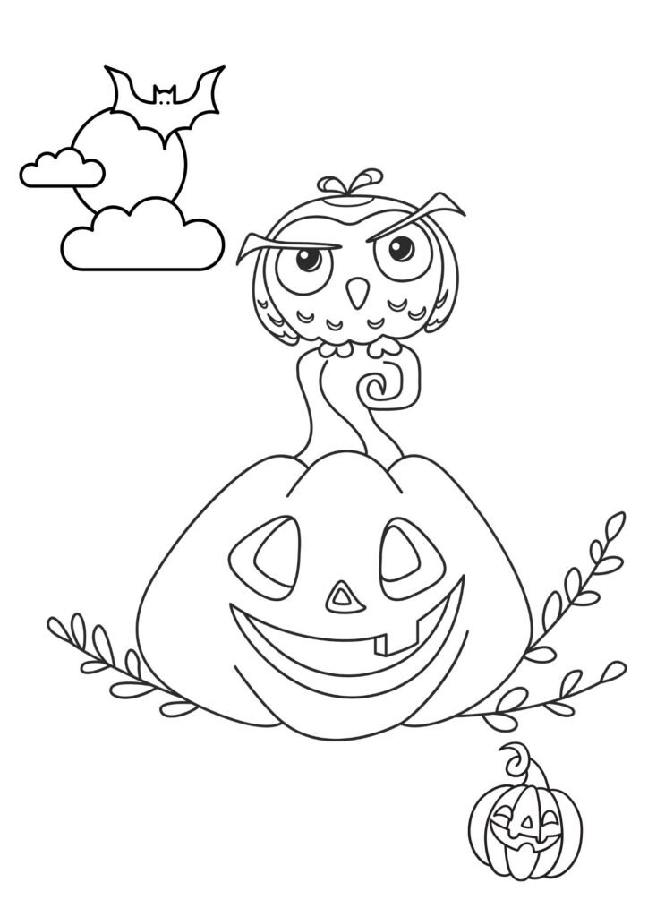 pumkin owal