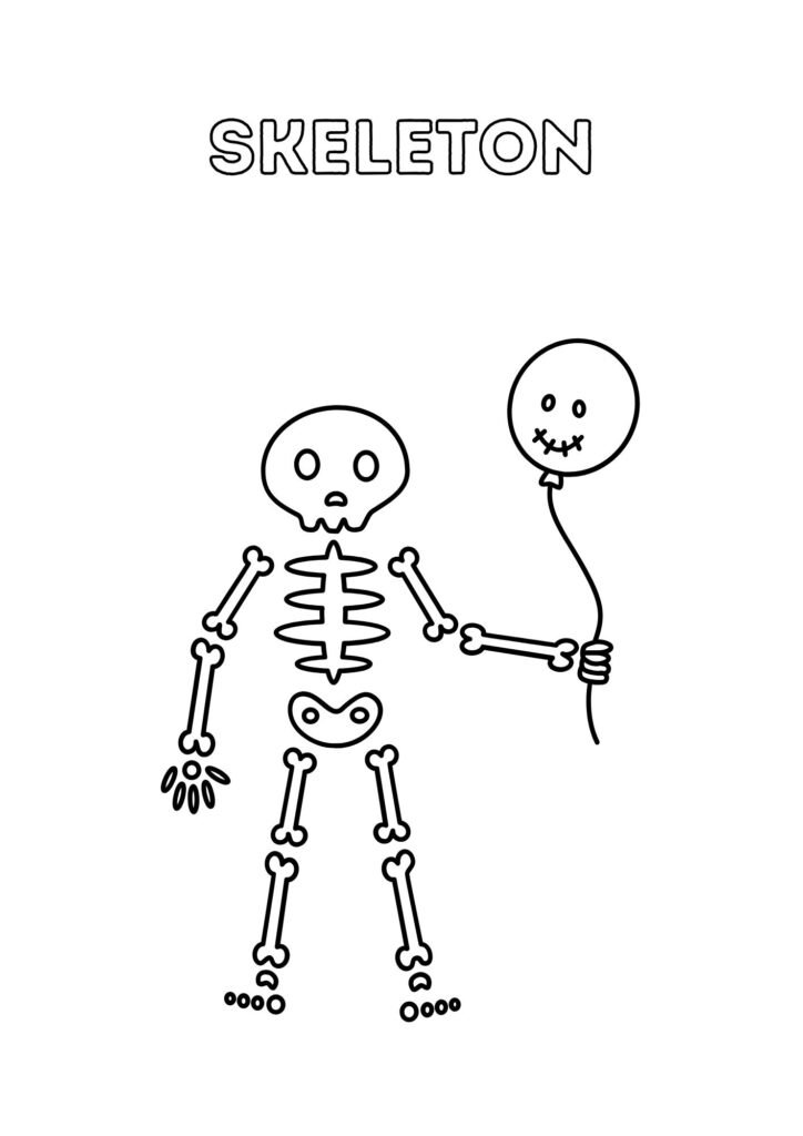 skeleton 40