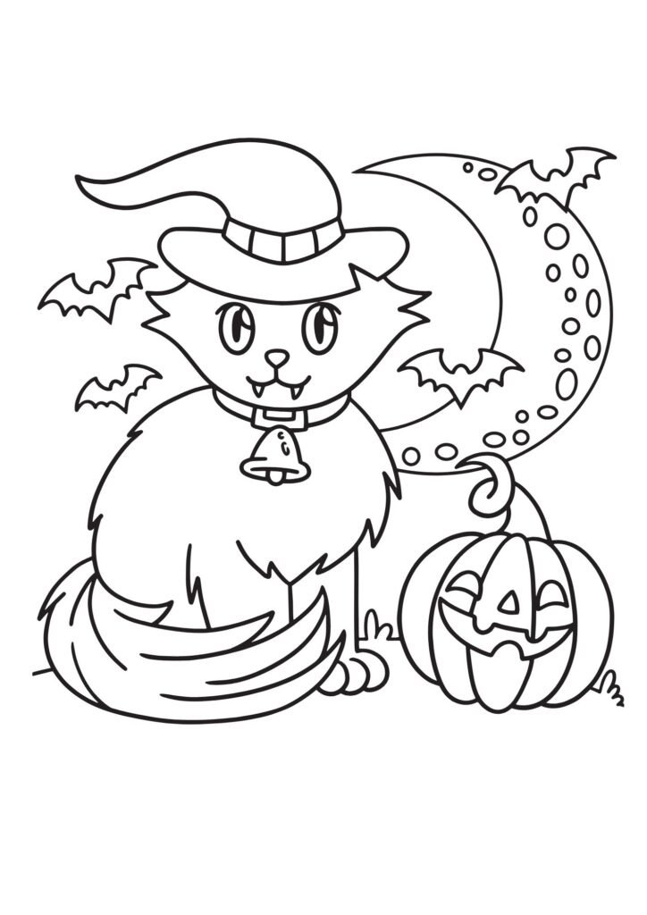 witch cat