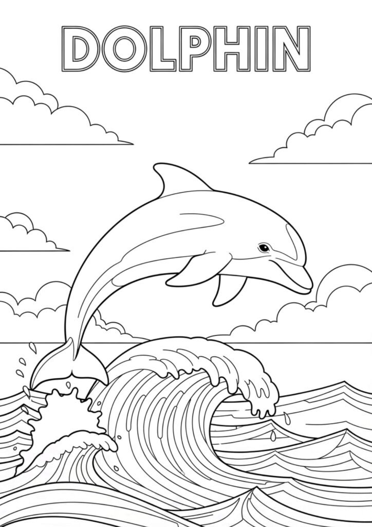 dolphin 11