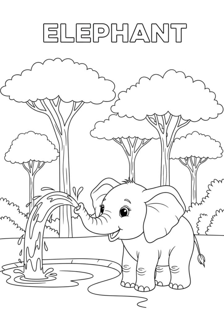 elephant 32