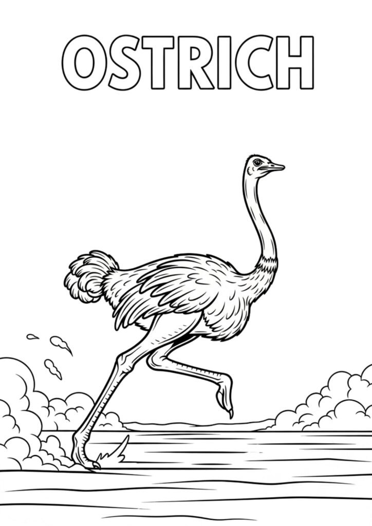 ostrich