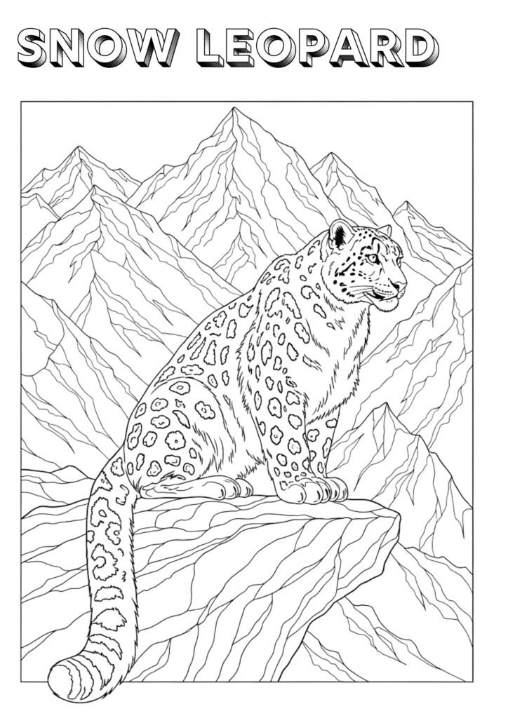 snow leopard