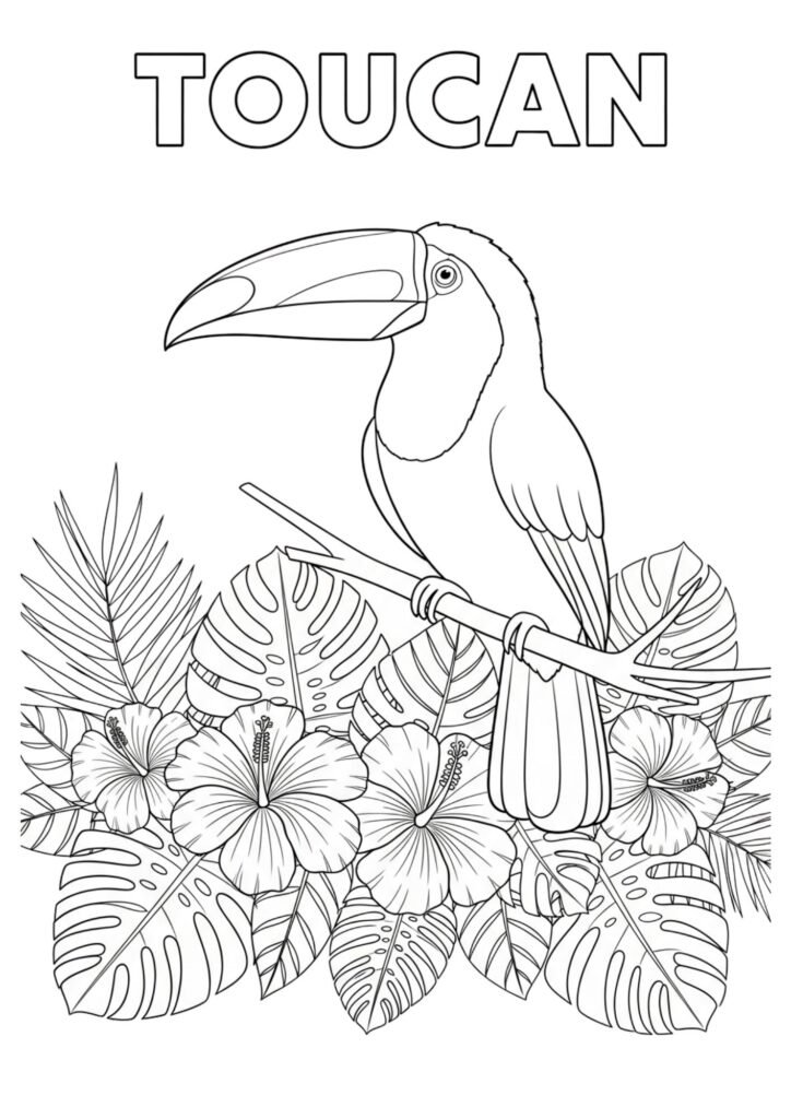 toucan