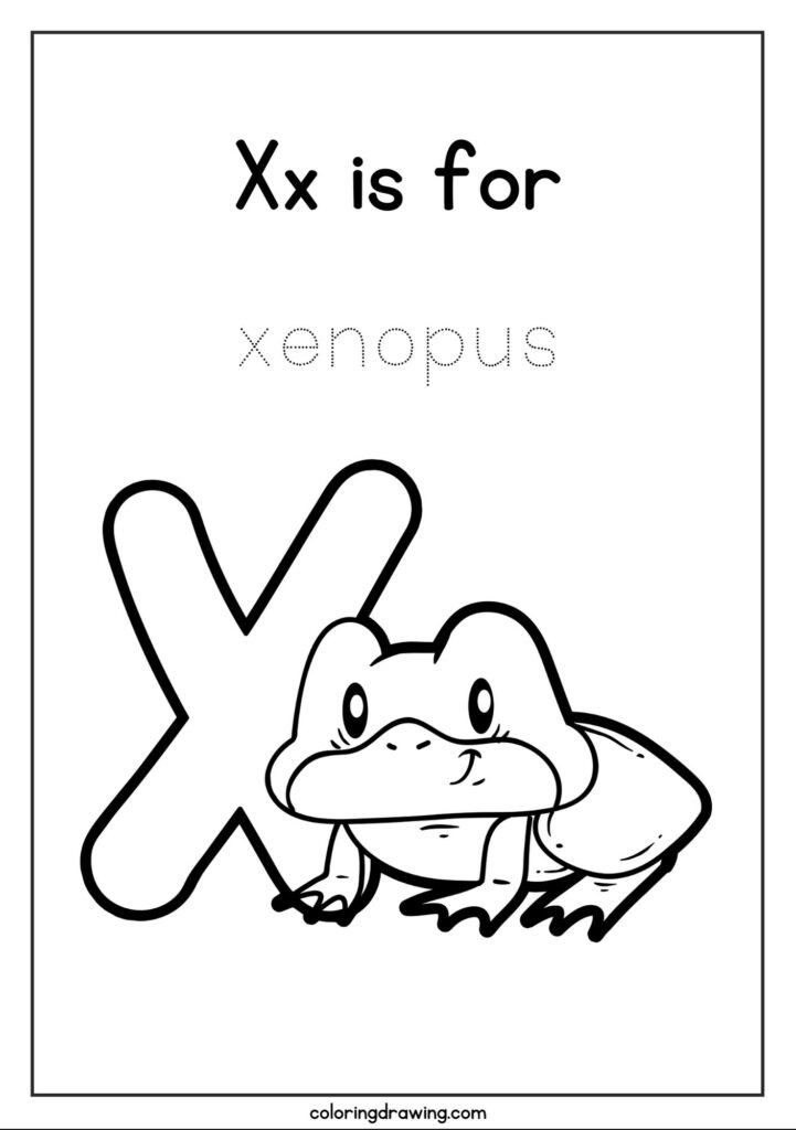 Alphabet X
