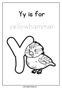 Alphabet Y