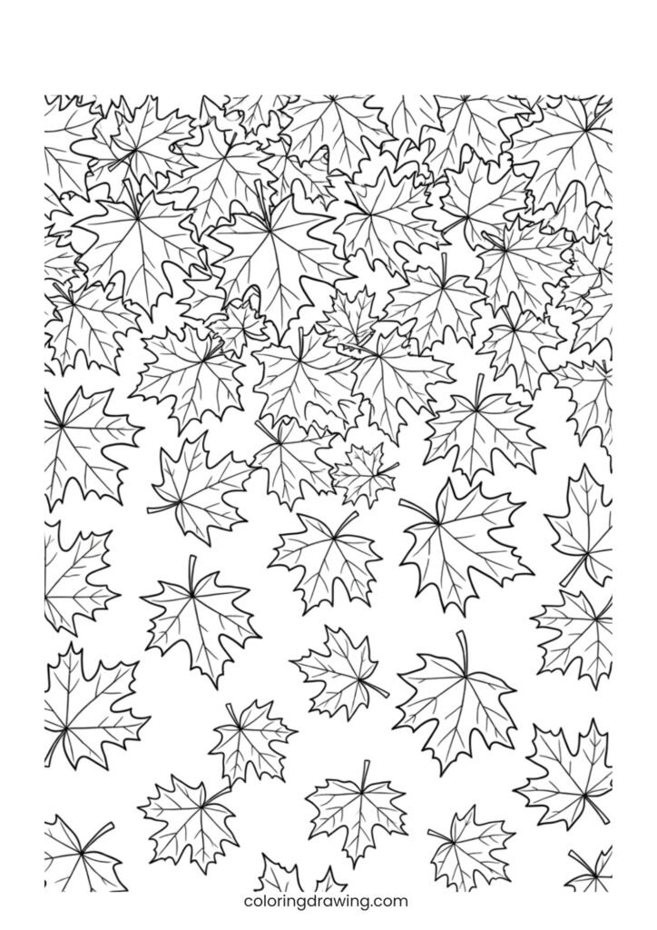 Falling maple leaves ColoringPage