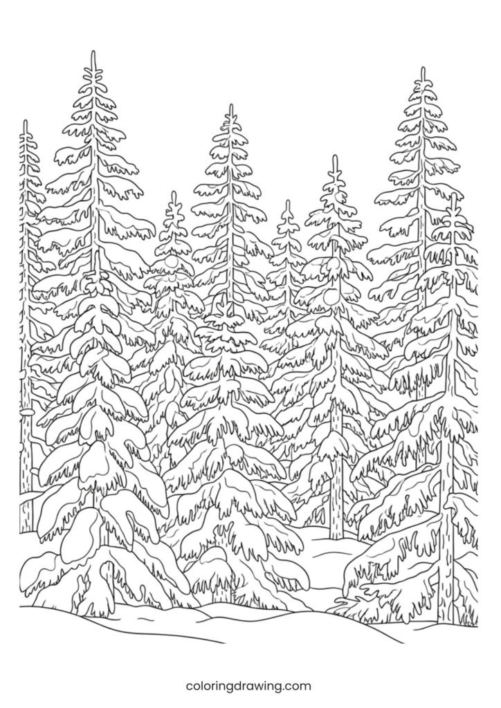 Pine trees with snow ColoringPage