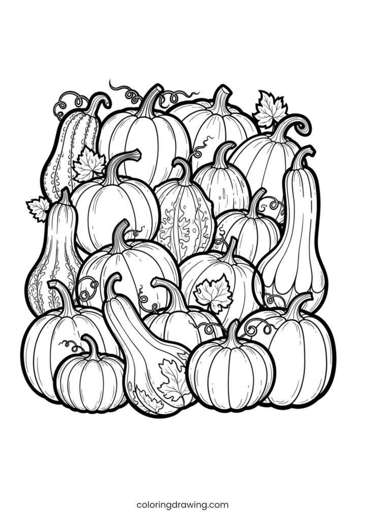 Pumpkins and gourds ColoringPage