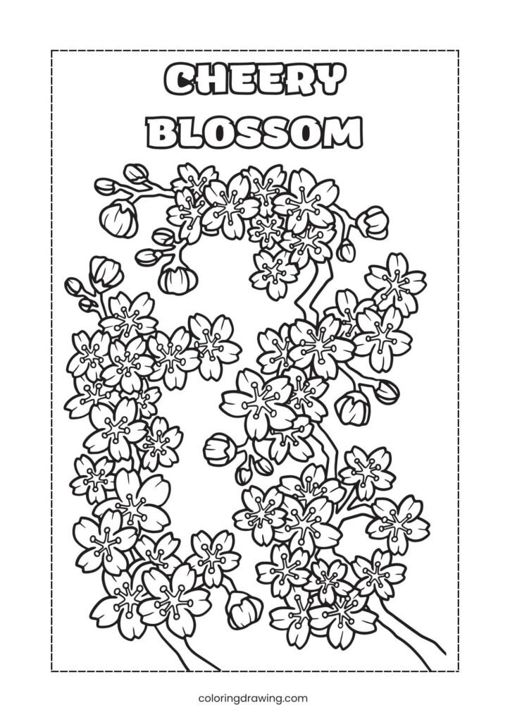 Cheery Blossom