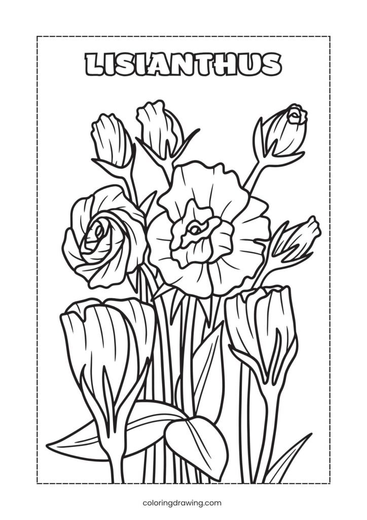 Lisianthus