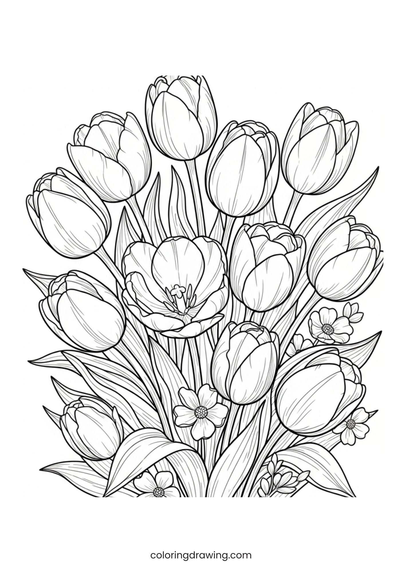 Blooming tulips ColoringPage