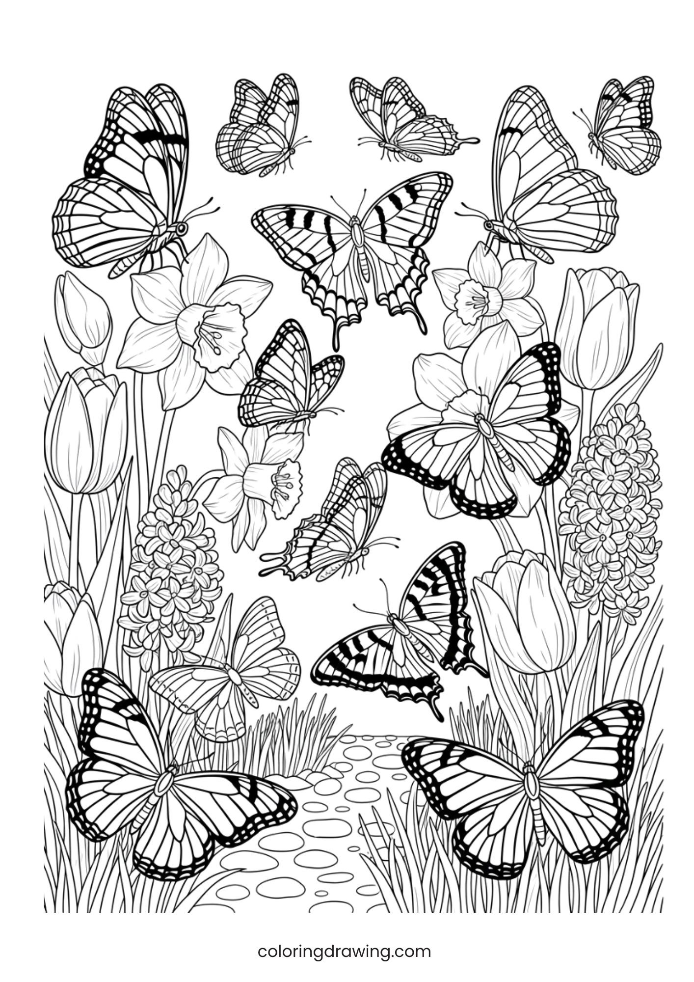 Garden butterflies ColoringPage