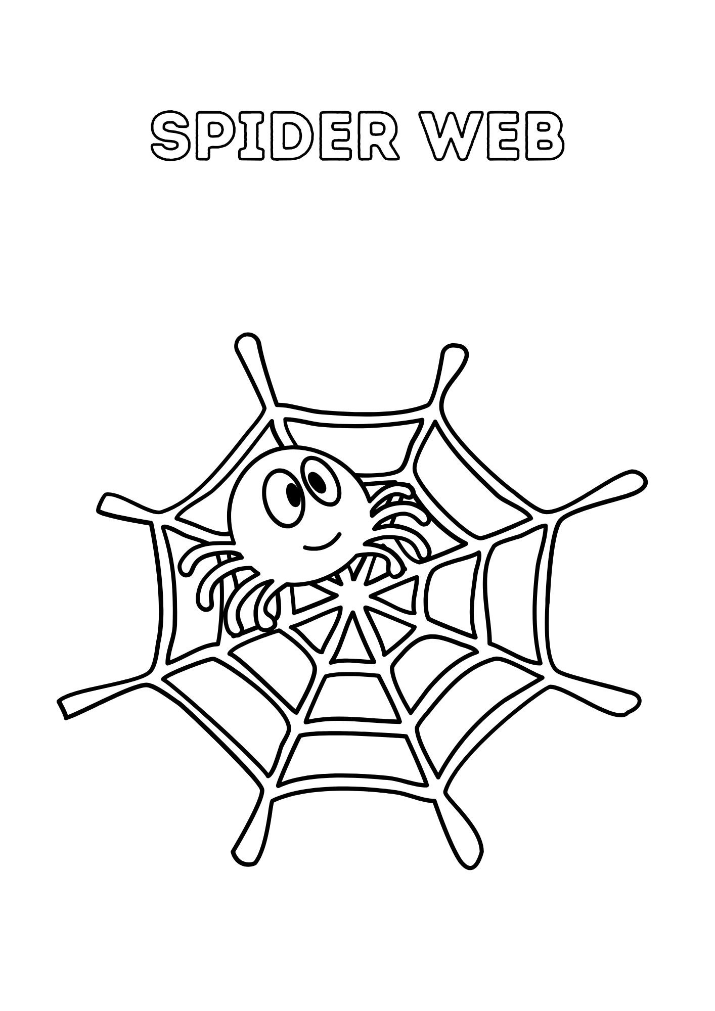 Spider web