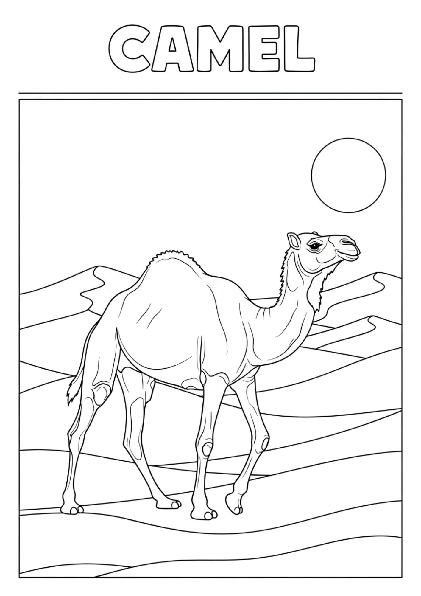 camel
