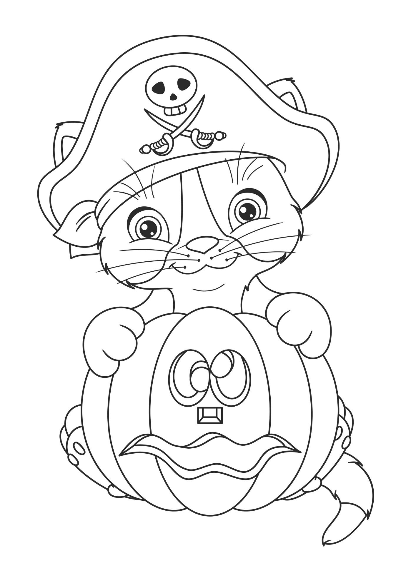 cat pumkin pirate