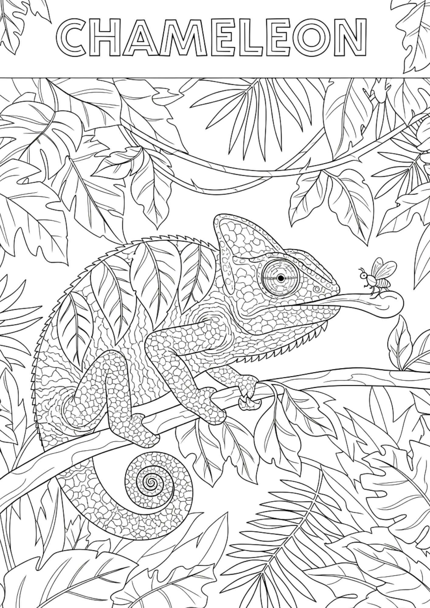 chameleon