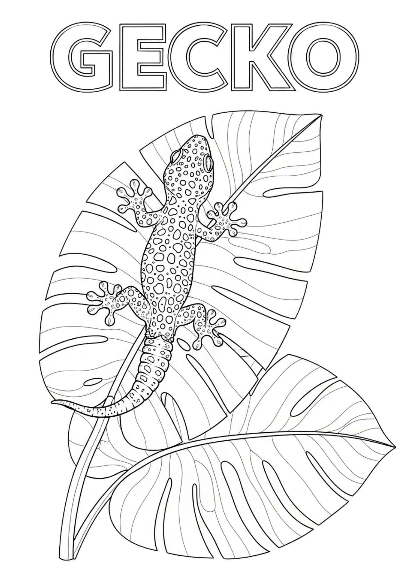 gecko 1