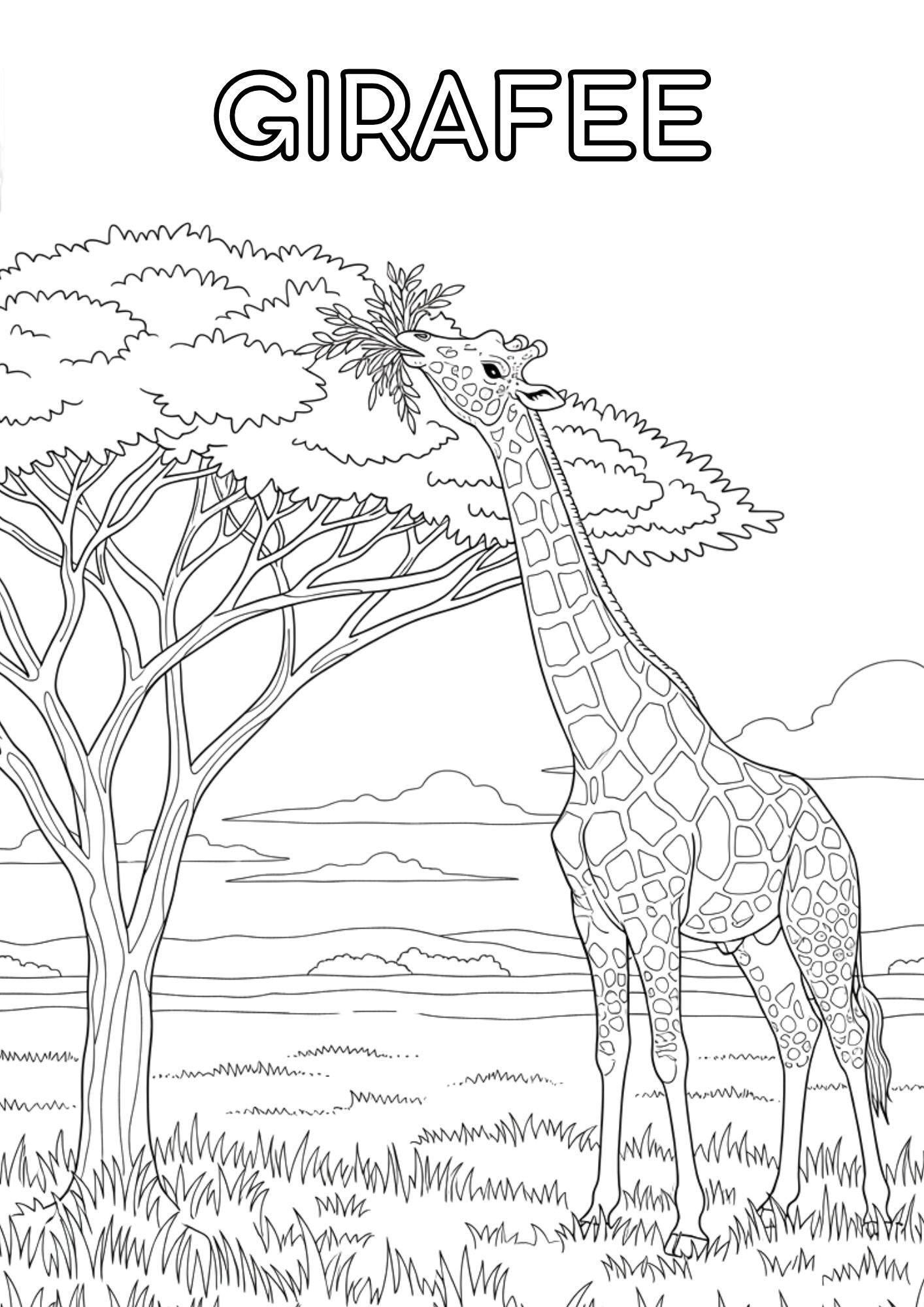 girafee