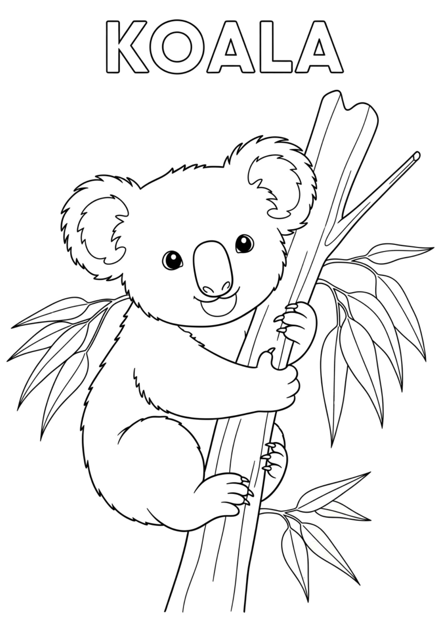koala 2