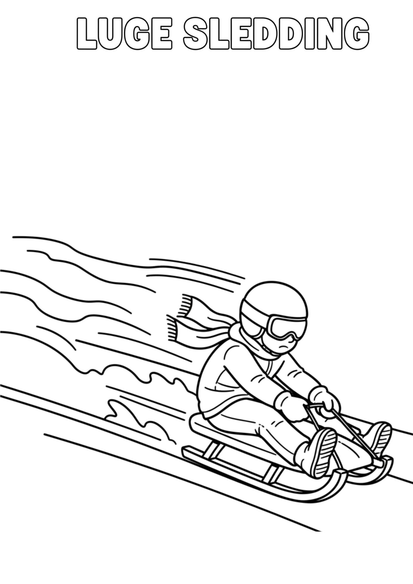 luge sledding
