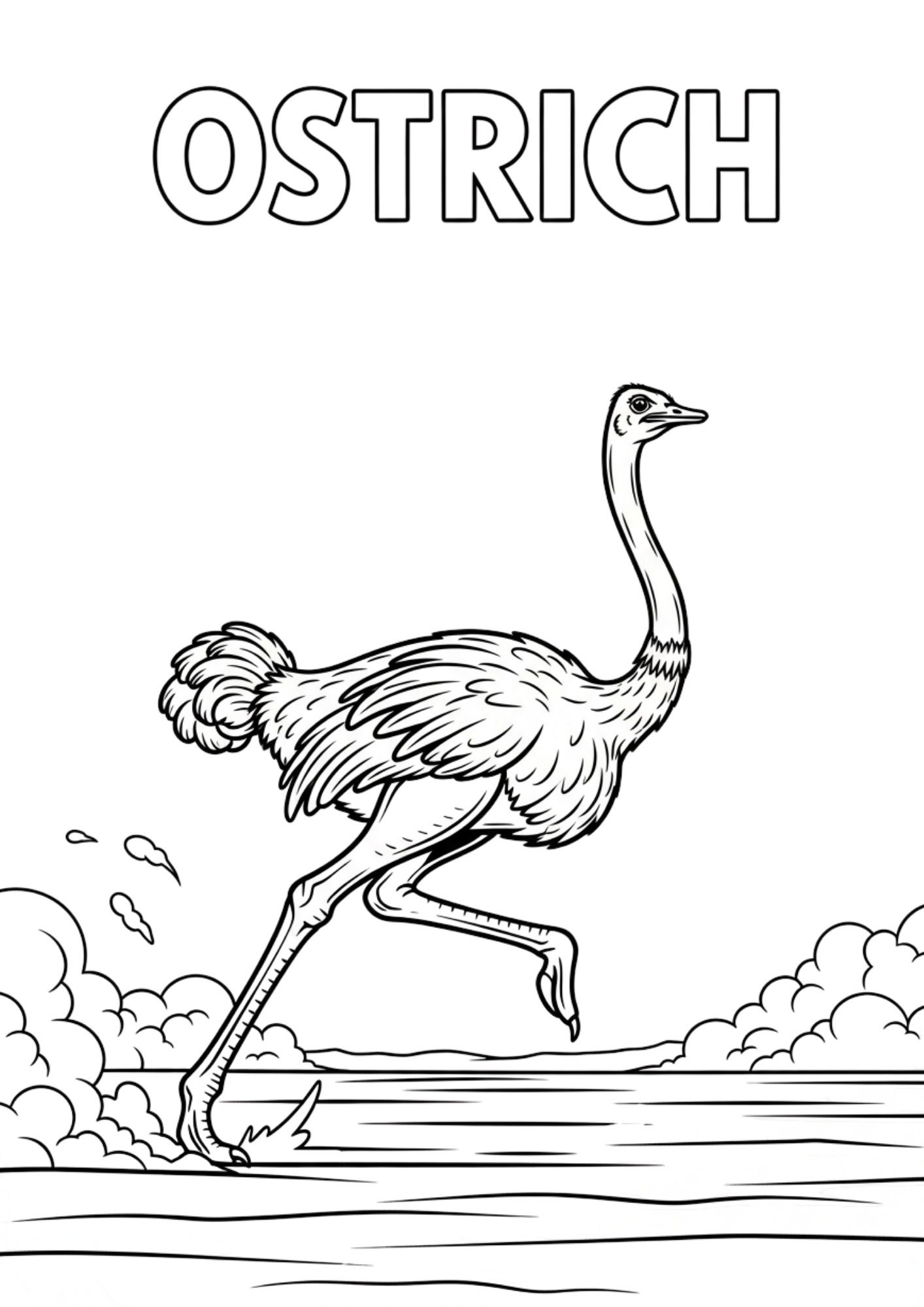ostrich