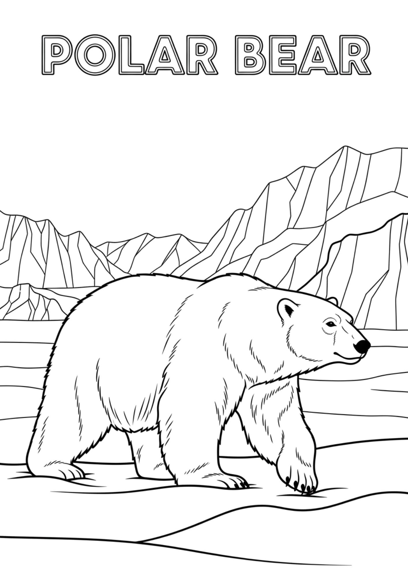 polar bear 1