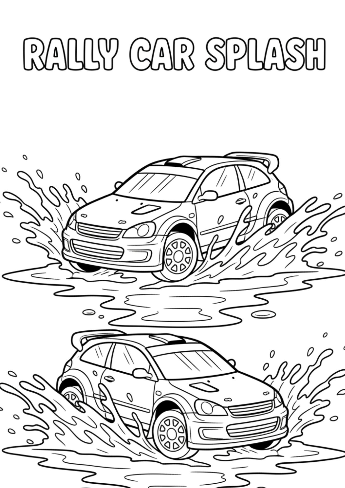rally car splash