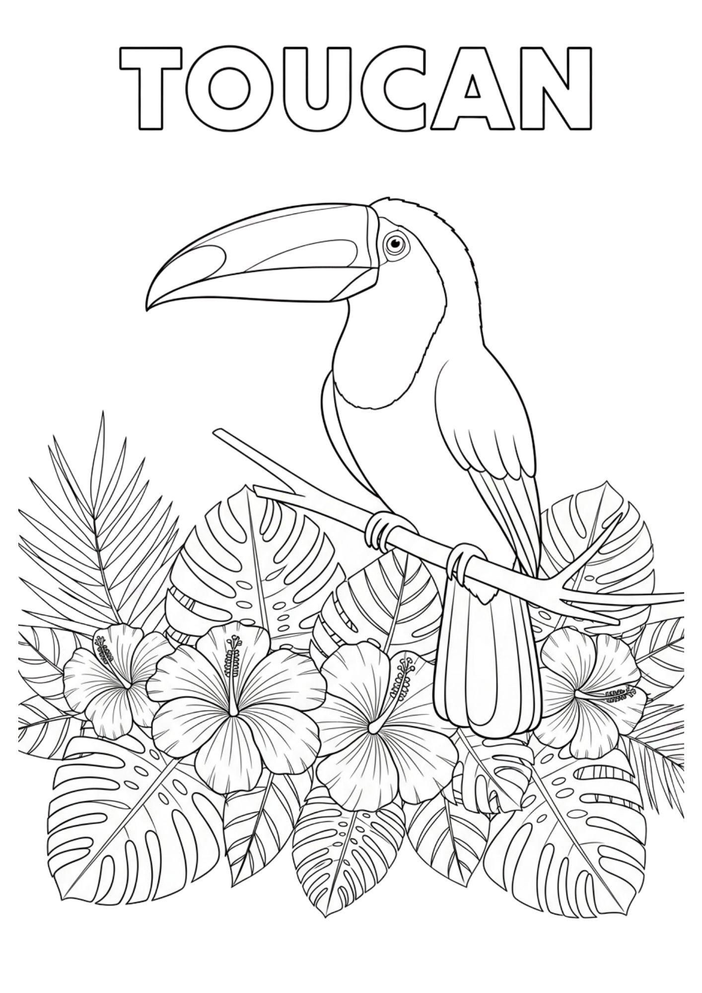 toucan